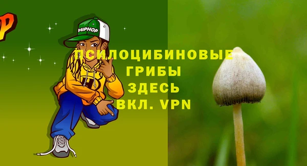 ПСИЛОЦИБИНОВЫЕ ГРИБЫ Няндома