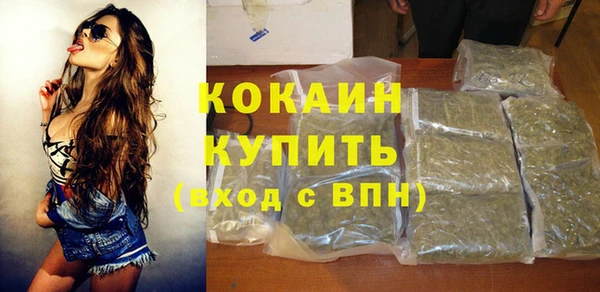 ПСИЛОЦИБИНОВЫЕ ГРИБЫ Няндома