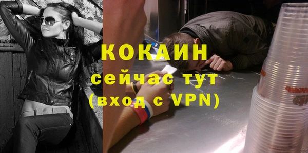 ПСИЛОЦИБИНОВЫЕ ГРИБЫ Няндома