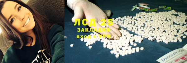 ПСИЛОЦИБИНОВЫЕ ГРИБЫ Няндома