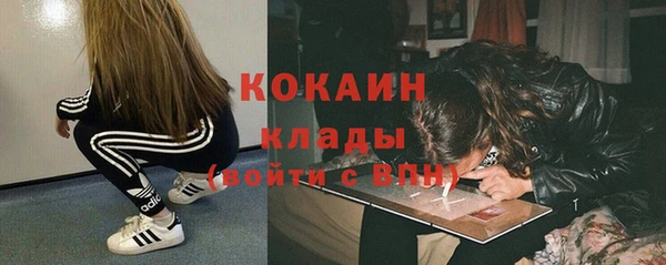 ПСИЛОЦИБИНОВЫЕ ГРИБЫ Няндома