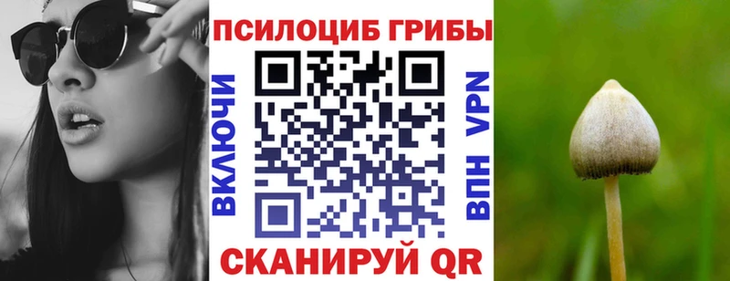 Псилоцибиновые грибы Psilocybe Калининец